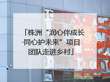 株洲“润心伴成长·同心护未来”项目团队走进乡村