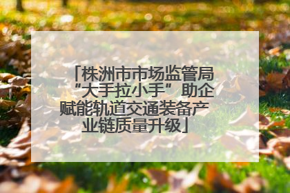株洲市市场监管局“大手拉小手”助企赋能轨道交通装备产业链质量升级