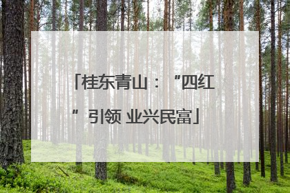 桂东青山：“四红”引领 业兴民富