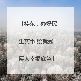 桂东：办好民生实事 绘就残疾人幸福底色