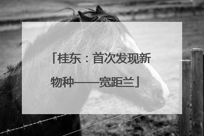 桂东：首次发现新物种——宽距兰