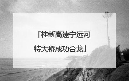 桂新高速宁远河特大桥成功合龙