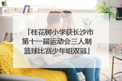 桂花树小学获长沙市第十一届运动会三人制篮球比赛少年组双冠