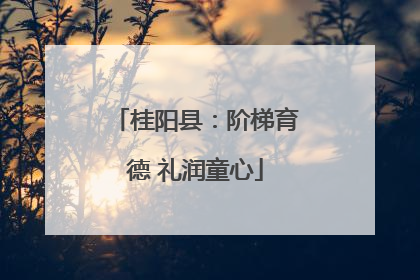 桂阳县：阶梯育德 礼润童心