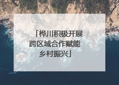桦川积极开展跨区域合作赋能乡村振兴