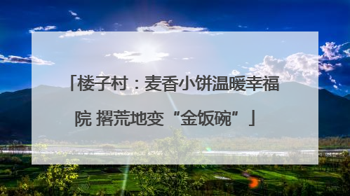 楼子村：麦香小饼温暖幸福院 撂荒地变“金饭碗”