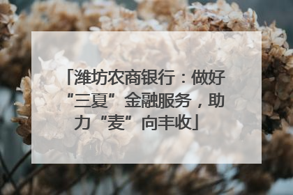潍坊农商银行：做好“三夏”金融服务，助力“麦”向丰收
