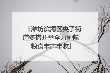 潍坊滨海区央子街道多措并举全力护航粮食丰产丰收