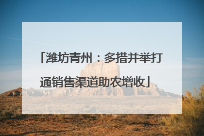 潍坊青州：多措并举打通销售渠道助农增收