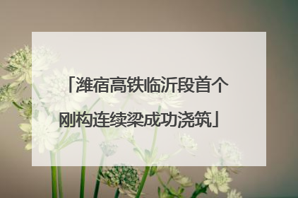 潍宿高铁临沂段首个刚构连续梁成功浇筑