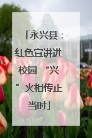 永兴县：红色宣讲进校园 “兴”火相传正当时