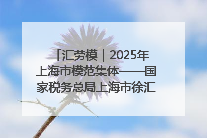 汇劳模｜2025年上海市模范集体——国家税务总局上海市徐汇区税务局第一税务所