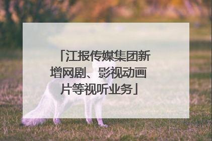 江报传媒集团新增网剧、影视动画片等视听业务