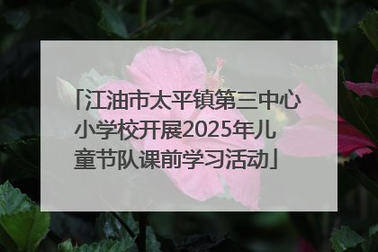 江油市太平镇第三中心小学校开展2025年儿童节队课前学习活动