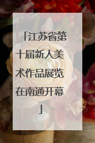 江苏省第十届新人美术作品展览在南通开幕