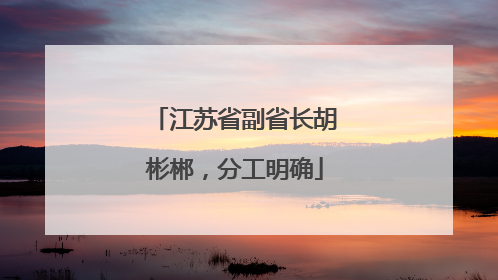 江苏省副省长胡彬郴，分工明确