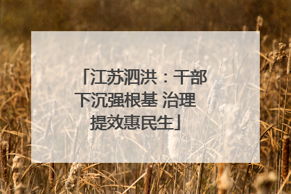 江苏泗洪：干部下沉强根基 治理提效惠民生
