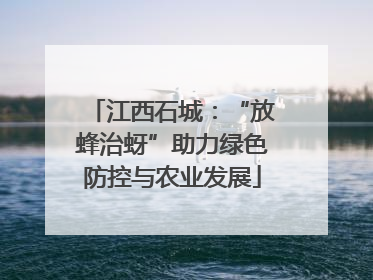 江西石城：“放蜂治蚜”助力绿色防控与农业发展