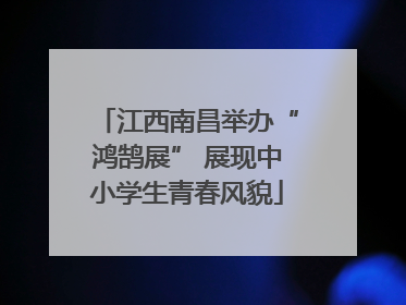 江西南昌举办“鸿鹄展” 展现中小学生青春风貌
