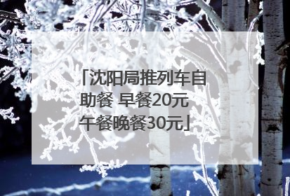 沈阳局推列车自助餐 早餐20元午餐晚餐30元
