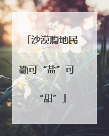 沙漠腹地民勤可“盐”可“甜”