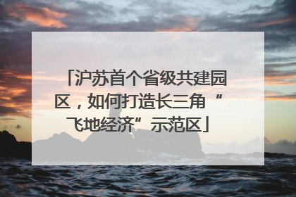 沪苏首个省级共建园区，如何打造长三角“飞地经济”示范区