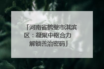 河南省鹤壁市淇滨区：凝聚中枢合力 解锁善治密码