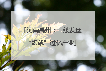 河南禹州：一缕发丝“织就”过亿产业