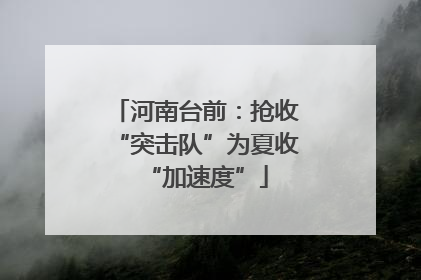 河南台前：抢收“突击队”为夏收“加速度”