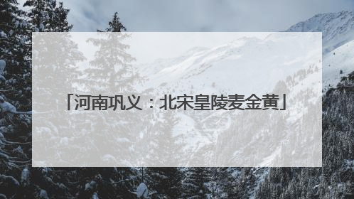 河南巩义：北宋皇陵麦金黄