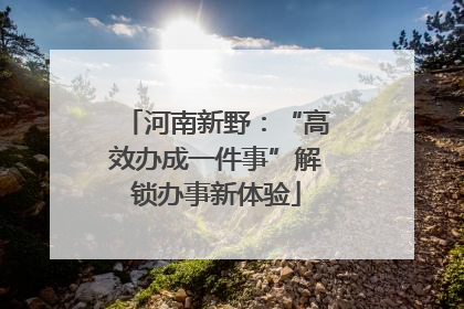 河南新野：“高效办成一件事”解锁办事新体验