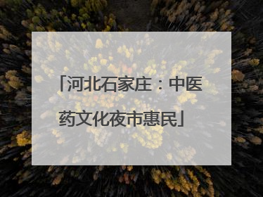 河北石家庄：中医药文化夜市惠民
