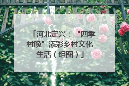 河北定兴：“四季村晚”添彩乡村文化生活（组图）