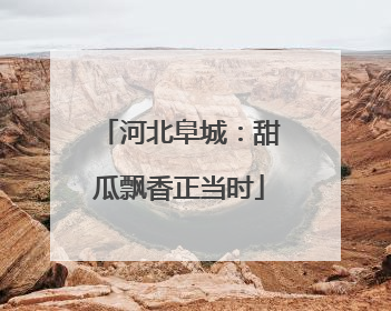 河北阜城：甜瓜飘香正当时