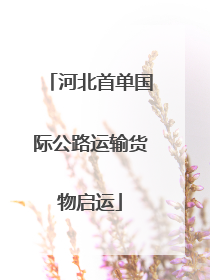 河北首单国际公路运输货物启运