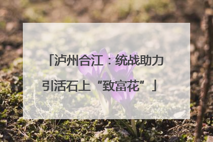 泸州合江：统战助力引活石上“致富花”