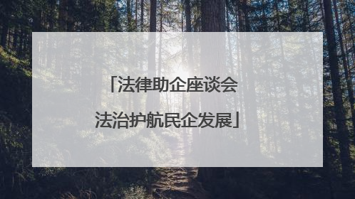 法律助企座谈会 法治护航民企发展