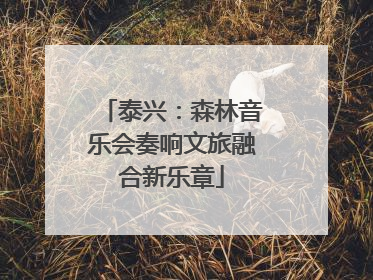 泰兴：森林音乐会奏响文旅融合新乐章