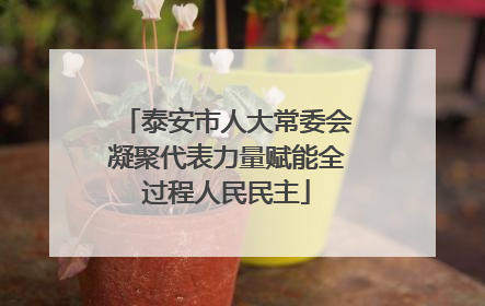 泰安市人大常委会凝聚代表力量赋能全过程人民民主