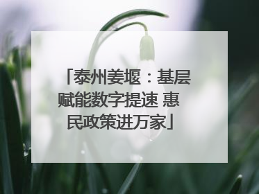 泰州姜堰：基层赋能数字提速 惠民政策进万家