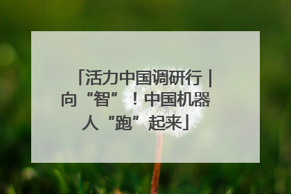 活力中国调研行｜向“智”！中国机器人“跑”起来