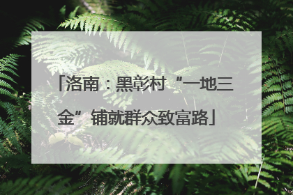 洛南：黑彰村“一地三金”铺就群众致富路