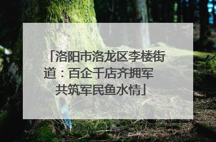 洛阳市洛龙区李楼街道：百企千店齐拥军 共筑军民鱼水情