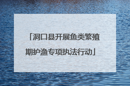 洞口县开展鱼类繁殖期护渔专项执法行动