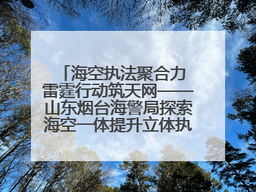 海空执法聚合力 雷霆行动筑天网——山东烟台海警局探索海空一体提升立体执法效能纪实