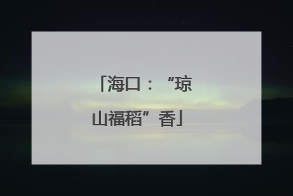 海口：“琼山福稻”香