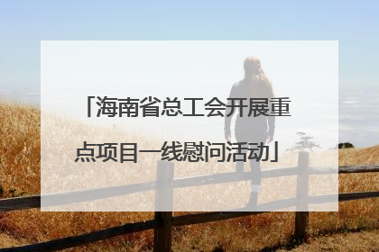 海南省总工会开展重点项目一线慰问活动