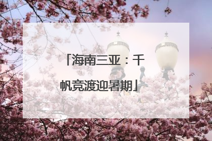 海南三亚：千帆竞渡迎暑期