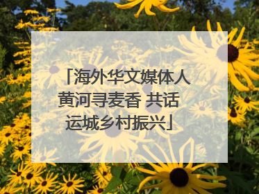 海外华文媒体人黄河寻麦香 共话运城乡村振兴