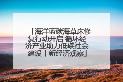海洋蓝碳海草床修复行动开启 循环经济产业助力低碳社会建设丨新经济观察